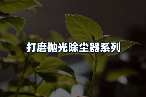 打磨抛光除尘器